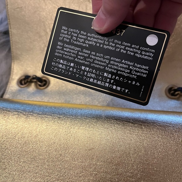 Chanel Medium CC Chic Flap Bag - Picture 11 of 13